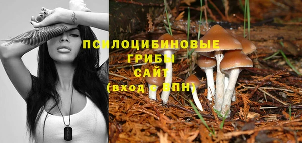 2c-b Балахна